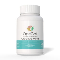 Creative Mind