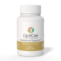 Intestinal Support